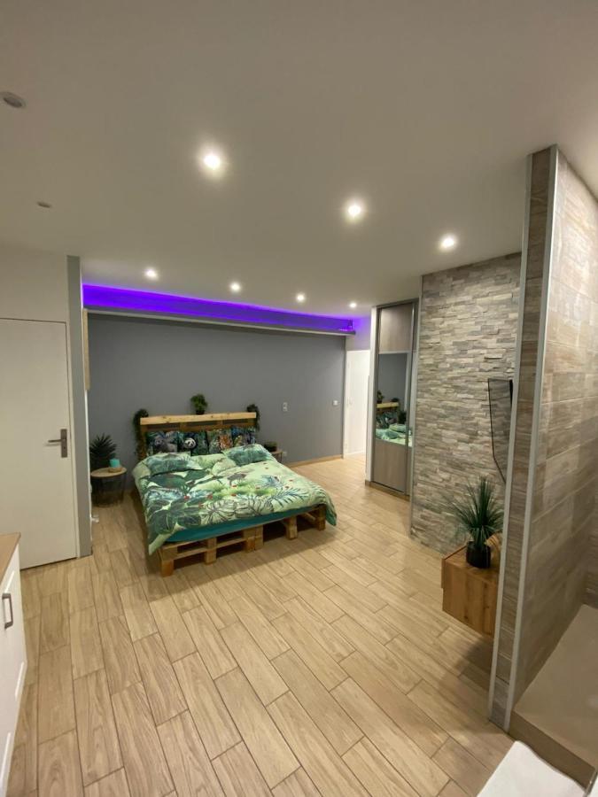 Le Menhir 2 Jacuzzi Spa Terasse Barbecue La Roche-Blanche  외부 사진